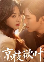 Jing Zhi Yu Ye Chinese Drama(2025) photo