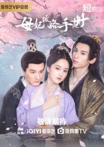 Consort Strategy Manual Chinese Drama photo