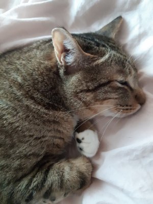 Just there and there