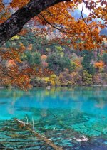 Will It Snow for Christmas? (2009) photo