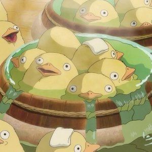 zikako