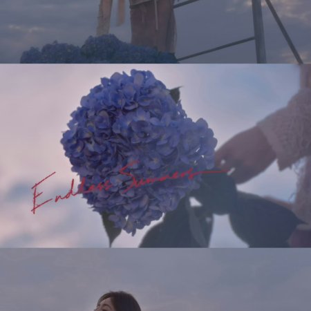 Endless Summers ()