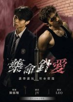 Love on the Needle Tip Taiwanese Movie(2026) photo
