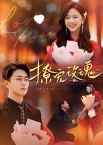 Liao Chong Mei Gui Chinese Drama(2024) photo