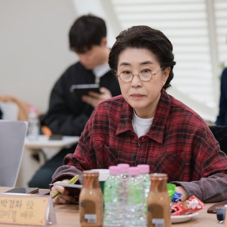 Phantom Lawyer (2026)