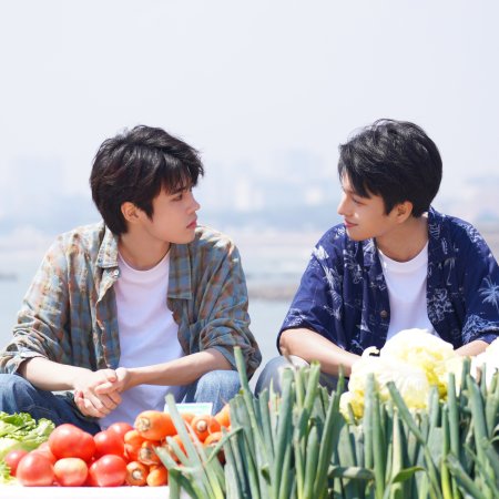 Predestined Love (2026)