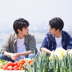 Predestined Love Chinese Drama photo