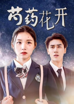 Shao Yao Hua Kai (2024) poster