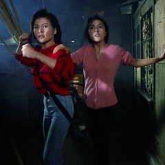 Women on the Run Hong Kong Movie(1993) photo