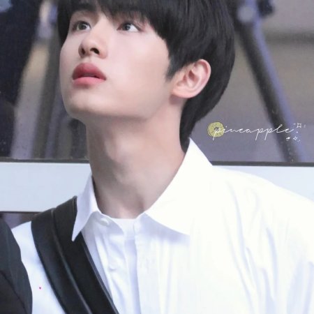 Sunshine through the Rain ()