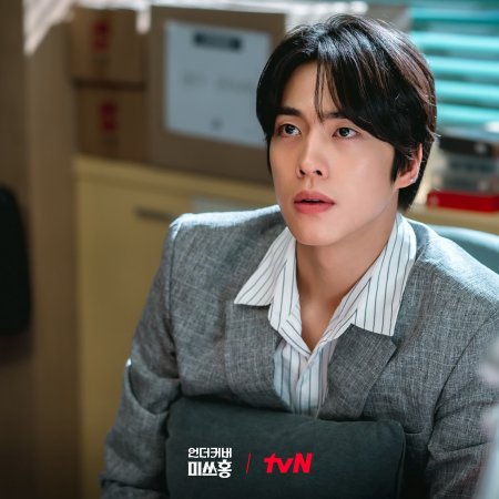 Undercover Miss Hong (2026)