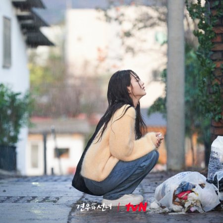 Head over Heels (2025)