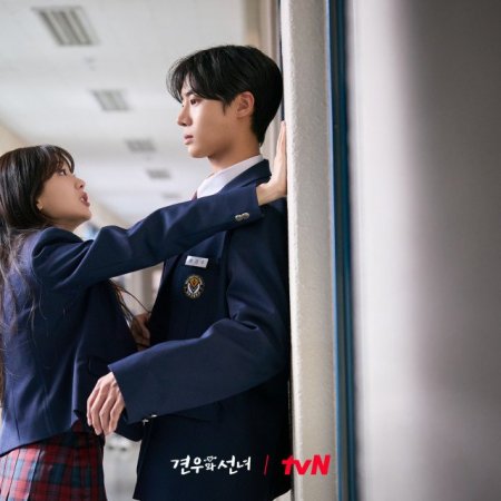 Head over Heels (2025)