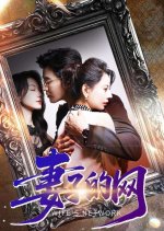 Wife's Network Chinese Drama(2025) photo