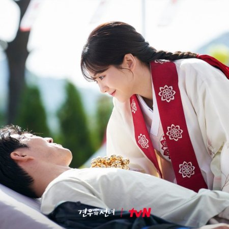 Head over Heels (2025)