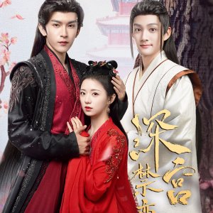 Shen Gong Jin Lian Lu (2024)