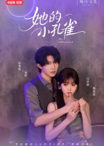 Her Little Peacock Chinese Drama(2025) photo