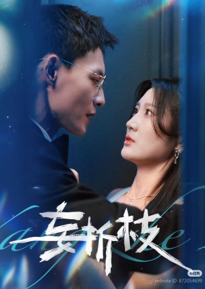 Wang Zhe Zhi (2025) poster