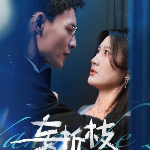 Wang Zhe Zhi (2025)