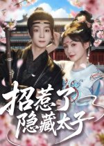 Zhao Re Le Yin Cang Tai Zi Chinese Drama(2025) photo