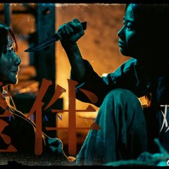 Duet of Shadows Chinese Drama photo