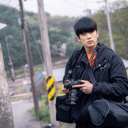 Three Evil Islands (2026)