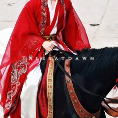 Key to the Phoenix Heart Chinese Drama photo