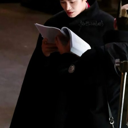 The Palace Stewardess ()