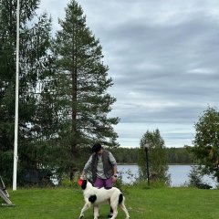 Rented in Finland Korean TV Program photo