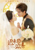 My Belated Love, Worth the Wait Chinese Drama photo