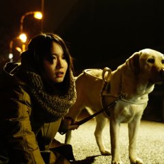 Blind Witness Japanese Movie photo