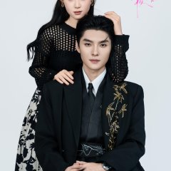 Her Days and Nights Chinese Drama(2025) photo