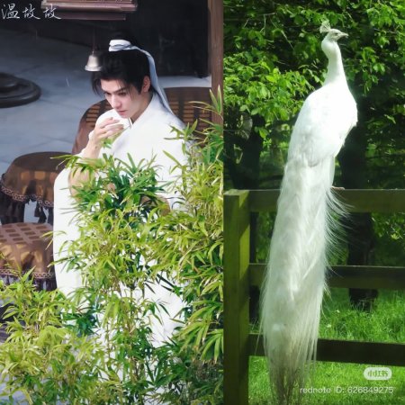 The Legend of Lu Xiaofeng ()