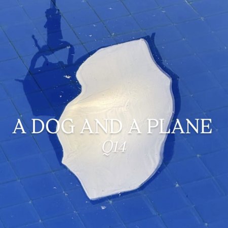 A Dog and a Plane ()