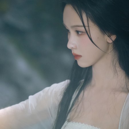 Veil of Shadows (2026)