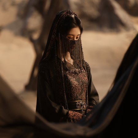 Veil of Shadows (2026)
