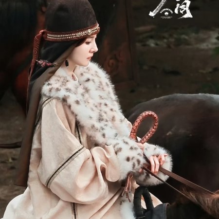 Northern Wei Dynasty ()