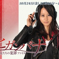 Higanbana - Women's Crime File Japanese Drama photo