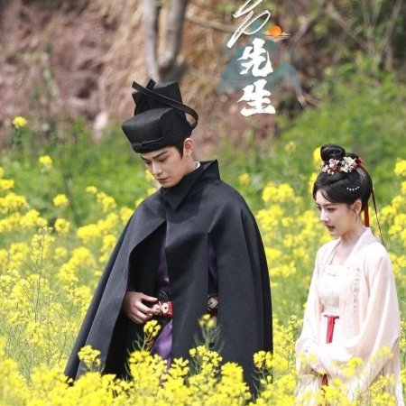 The Palace Stewardess ()