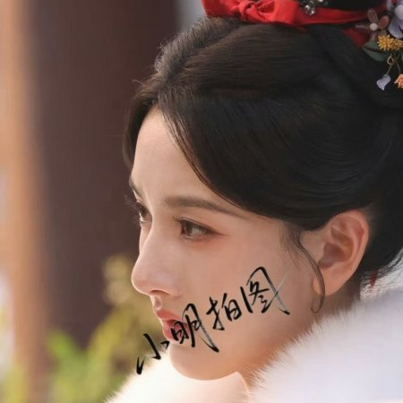 The Palace Stewardess ()