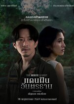 The White Rabbit
