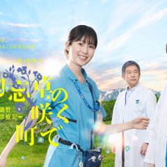 A Town of Blooming Forget-Me-Nots Japanese Drama(2026) photo