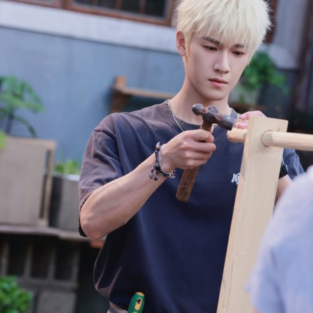 Dazzling (2026)
