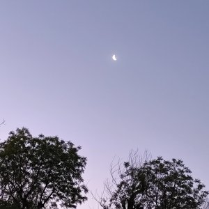 MyriadMusings