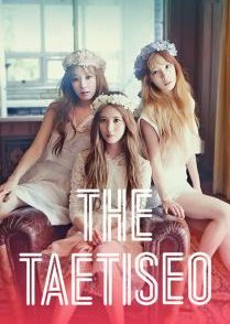 The TAETISEO (2014) poster