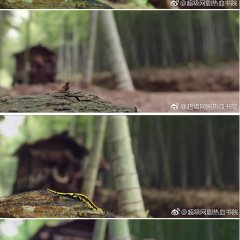 My Naughty Classmates Chinese Drama photo