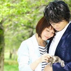 Doctors' Affairs Japanese Drama photo