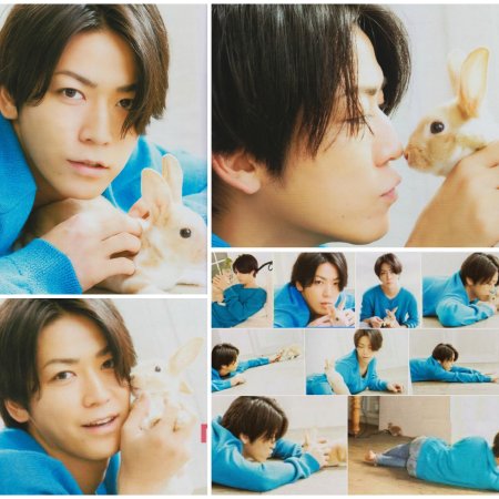 Kamisama no Boto  (2013)