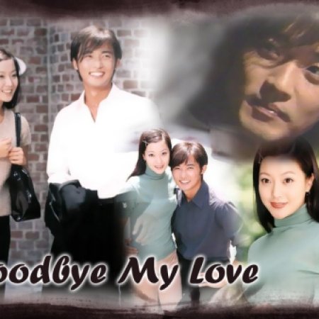 Goodbye My Love (1999)