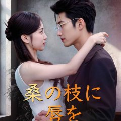 Desired Kisses Chinese Drama(2025) photo